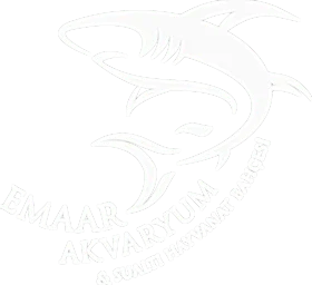 Emaar Akvaryum ve Sualtı Hayvanat Bahçesi