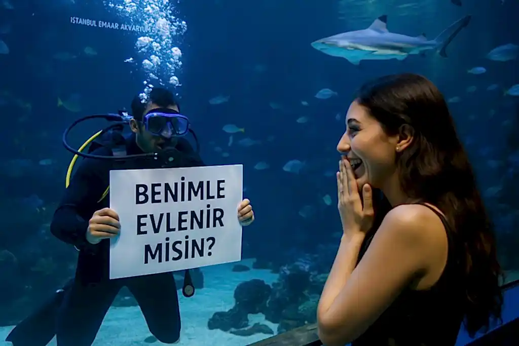 Evlilik Teklifi