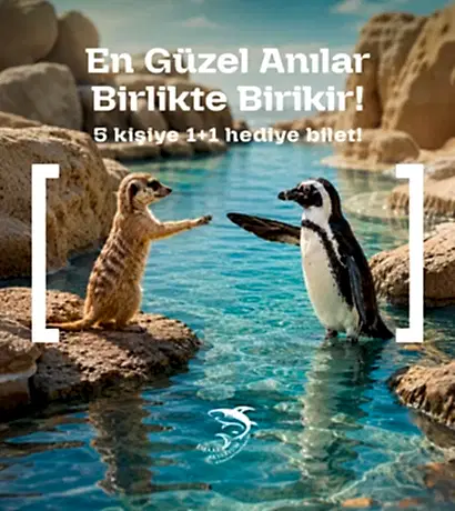 dostluk günü kampanya